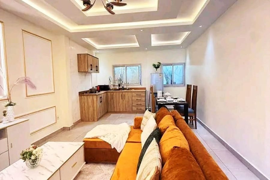 Appartement Meubler Haut Standing Bonapriso Douala